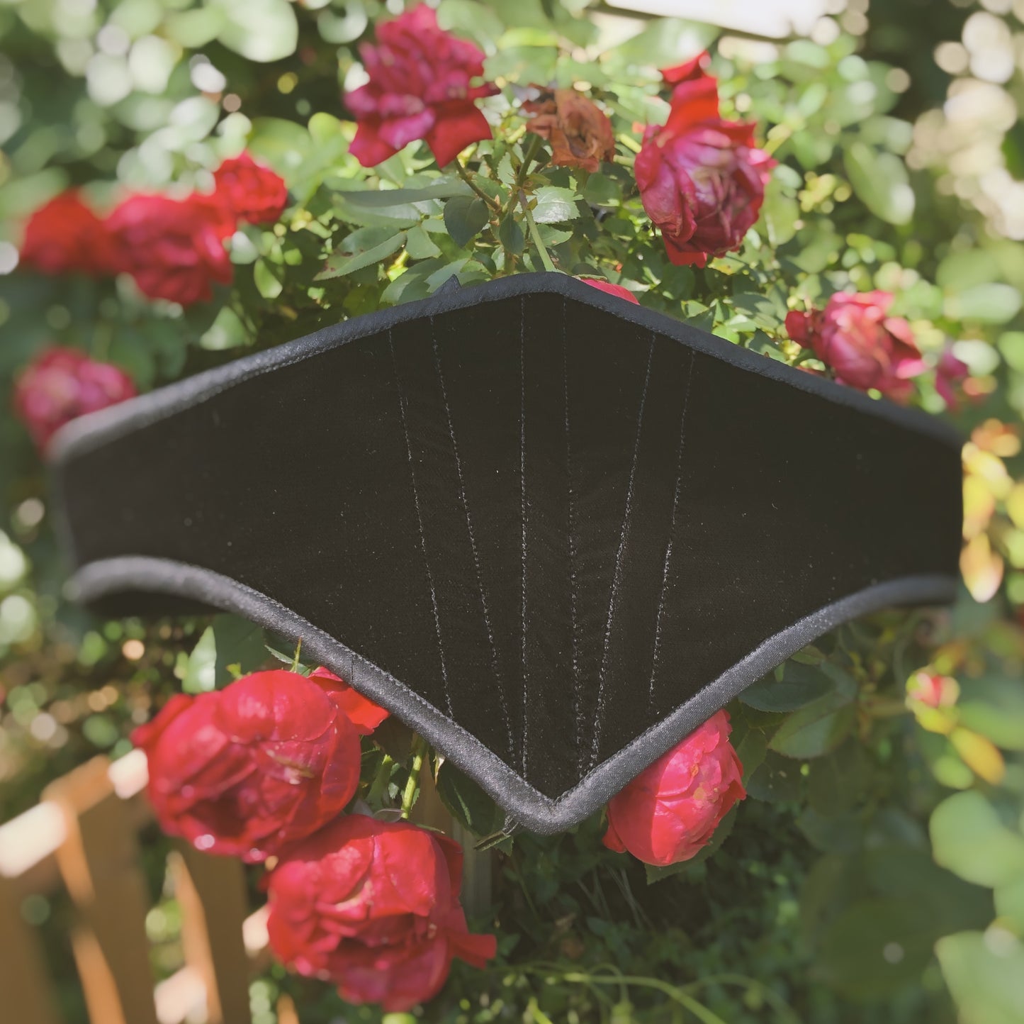 Wormwood Belt in Black Velvet